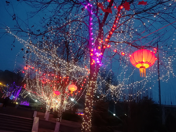 春节树灯夜景