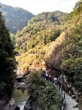 云南洱海湿地公园