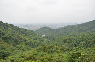 山上风景