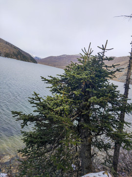 山水风景