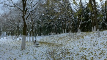 武汉市汉阳区月湖公园雪景