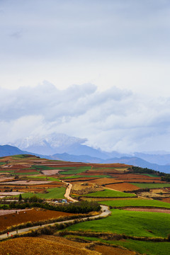 东川红土地7