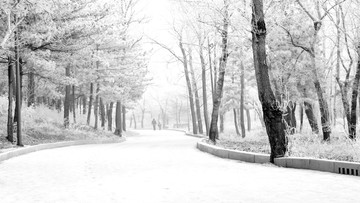 园林雪景