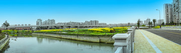 成都城市风光