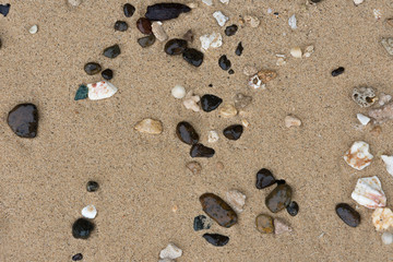 海岛游玩沙滩贝壳和碎珊瑚石