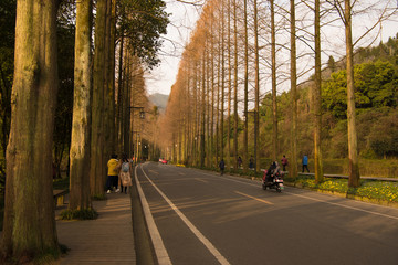 青城山园林步道