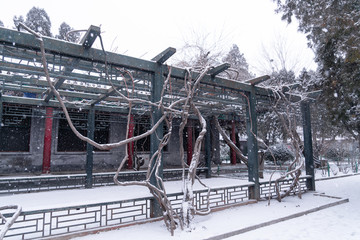 故宫雪景