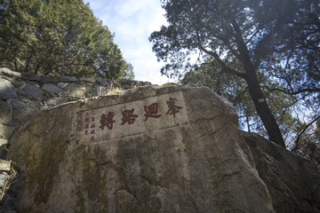 峰回路转
