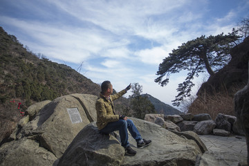 泰山迎客松