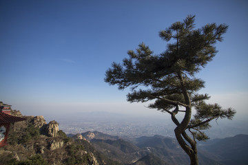 泰山风光