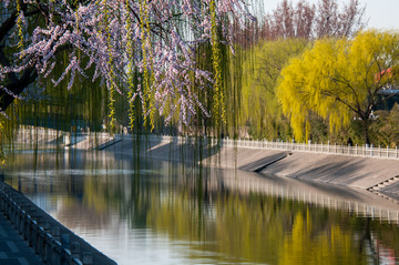 北京西护城河风光