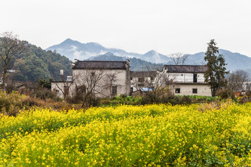 婺源