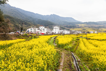 婺源