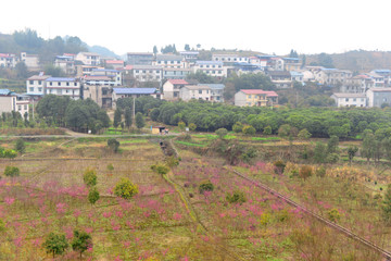 从天门山索道俯瞰张家界村庄田园