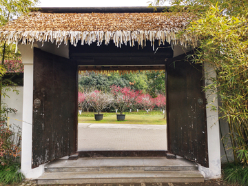 梅花村