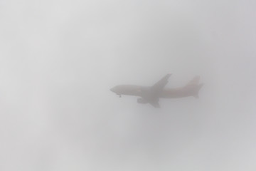 冲出迷雾