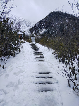 雪景