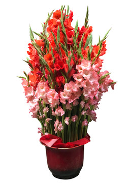 花卉