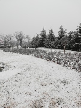 雪后张店