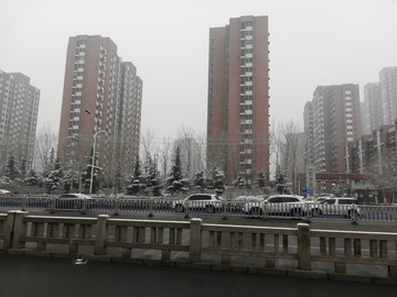 雪后景色