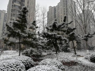 雪后景色