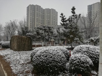 雪后景色