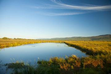 黑瞎子岛湿地湖泊