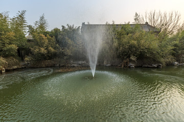 竹林池塘喷泉景观