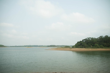 绿岸湖水