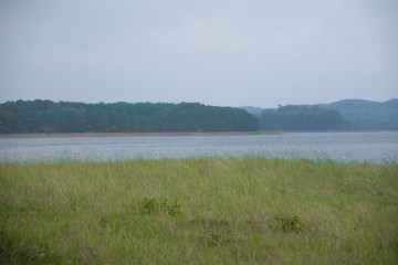 草地河水