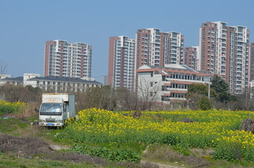 新农村建设