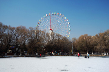 青城公园的冬天