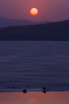 夕阳