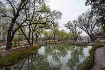 青州范公亭公园鲜花争艳