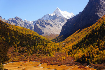 稻城亚丁神山夏诺多吉秋景