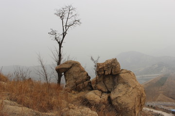 徂徕山骆驼石