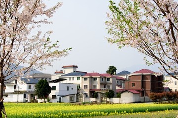 春天里的村庄