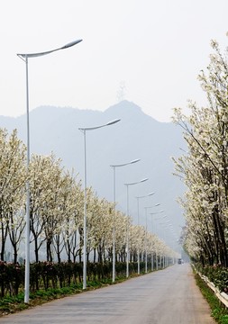 整齐的路灯