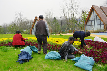 除草工人