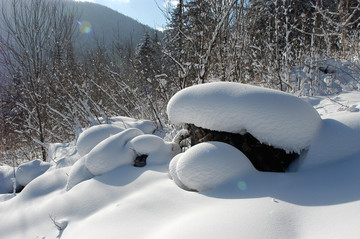 山坡上的雪景