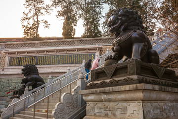 大悲寺石狮子