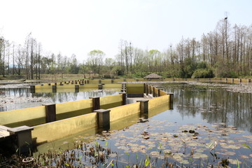 西溪湿地水下观景长廊