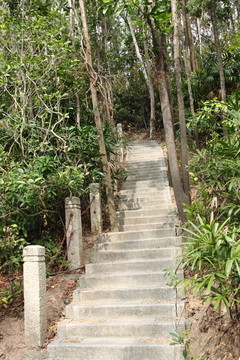 登山路