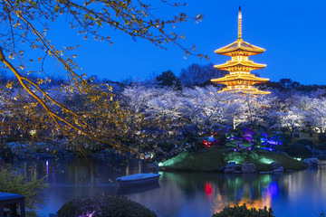 樱园夜景