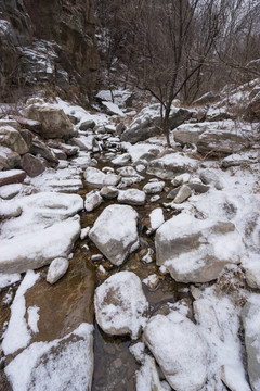 雪中溪水