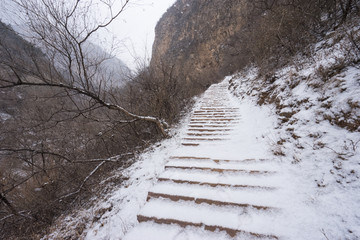 雪中小路