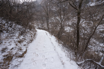 雪中小路