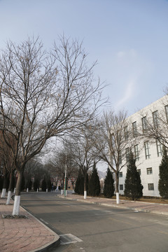 兰州大学榆中校区校园