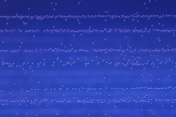 气泡