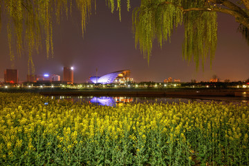 金华婺剧院油菜花夜景